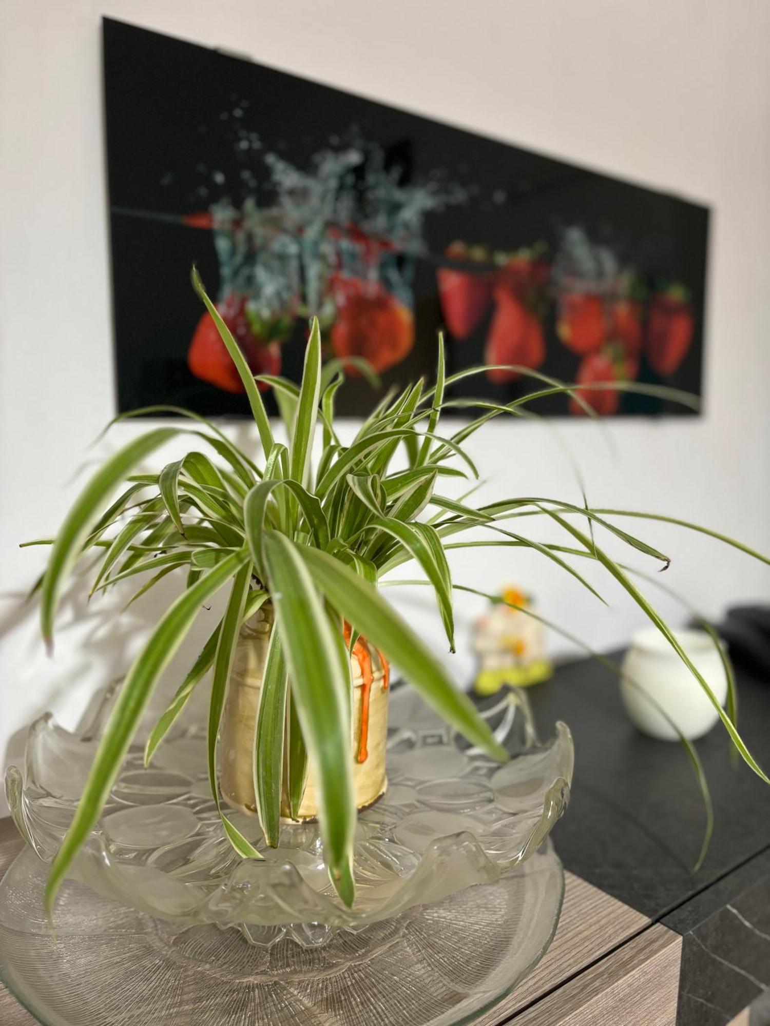 Vivi Aguilera Apartament Bolonia Zewnętrze zdjęcie